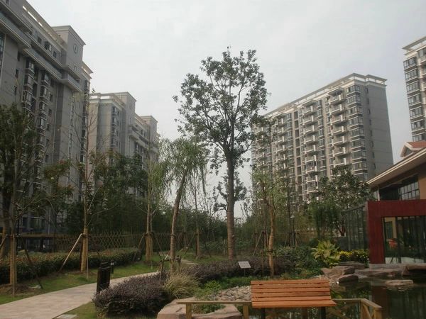 小区相关图