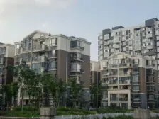 雅颂湾 电梯房 全南全明 一室一厅 采光嘎嘎好