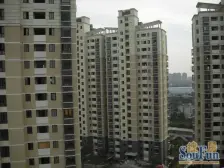 联星丽景苑 3室2厅 南