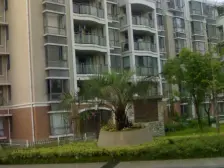 大虹桥板块+双轨交+一楼有花园 位置佳江桥品质小区