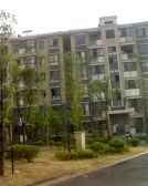 大虹桥精装修三房飞机户型未来双轨交汇