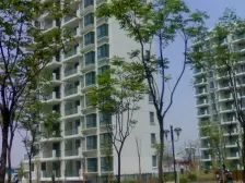 泰辰沙河茗苑 3室2厅 南 北