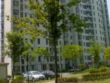 泰辰沙河茗苑 3室2厅 南