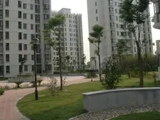 精装修50万,大三房,采光刺眼,位置安静,出门是万达