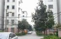财大教师公寓实景图
