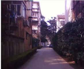 康平路95号1室0厅南