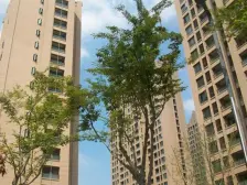 地铁就在楼下,精致用心装修,花了很大心思