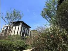 金地天字小区+大平层+品质精装+楼层好