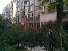 厅级跃 五房三卫 有50平左右露台