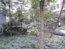 前后大花园 精装修 拎包入住双轻轨