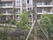 江南小区4房双卫精装房 中间楼层 拎包入住