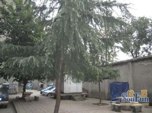 滨江东路226号2室1厅东南