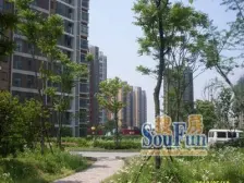 合生江湾国际公寓 2室2厅 南 西 北