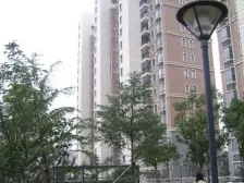 狮山新上 双实验 全新毛坯好装修 南北通透 电梯洋房 近轨交