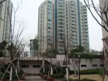 双星海 小户型 低总价 可报名 诚心出售