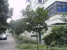 诚售东环新村自住装修保养好,中间楼层,书包未用,看房提前联系