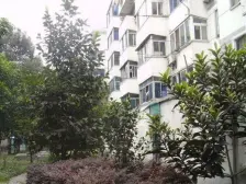 东环路东环新村2楼 双平江 两房朝南采光好轻轨一号口诚心出售