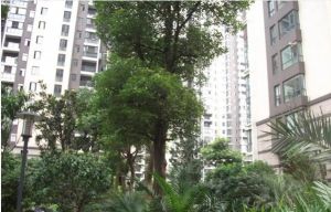 房子满五不唯一精装可拎包入住复式居家舒适度更高