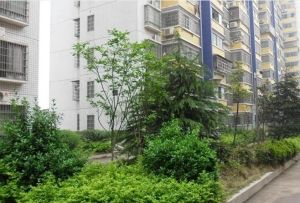枫林路麓景路咸嘉湖路阳明山庄电梯3房2卫