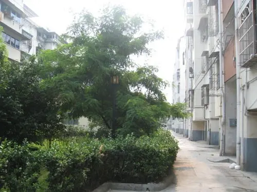 吉水花园实景图