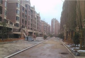 2015年小区 小区环境好,绿化高,自带游泳池