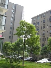 祥瑞蓝堡公寓 南北通透,采光好 装修好,环镜优美 近地铁 视野好,诚心出售