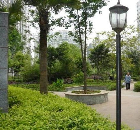 小区相关图