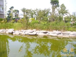 紫晶城2室2厅南