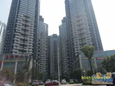 美丽的 维多利亚港湾 网红打卡地