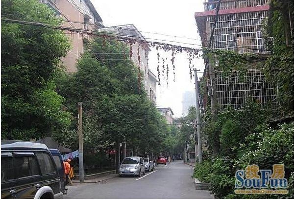 实景图
