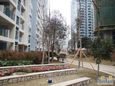 南向三居室,宽敞明亮,上行锦绣优质住宅出售