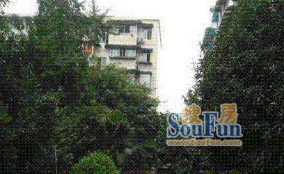 德坤恬园实景图