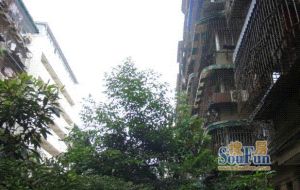 圃园路6号院2室2厅北