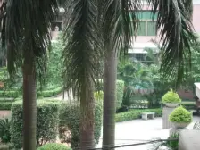 满五唯一 太古仓旁 正规东向大一房