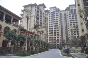 新都国际广场一期 1室2厅 东南