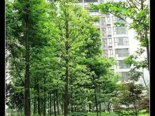 重庆天地 翡翠天麓 清水跃层 可装4房 满2年 诚心出售