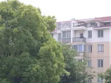 电梯房 电梯房 4层 采光视野好