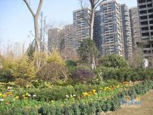 复地雍湖湾5室2厅东南