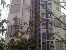 5/9号线双轻轨,精装小户型,免征个税。