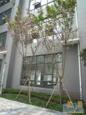 优客联邦一期2室2厅南