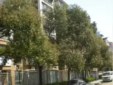 此房满五V壹,南北户型通风比较好,近地铁交通便利