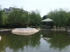 海湾健康花苑 2室2厅 南