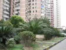 阳光充足楼层好,视野南看梧桐别墅、北看上生新所