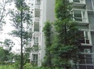 清江之春 2室1厅 西北