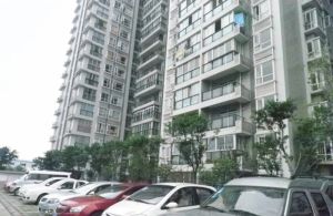 清江之春 2室1厅 西北