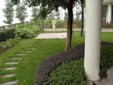 冉家坝 龙湖MOCO三房