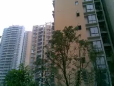 青河世家 3室1厅 东南 西北