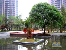 精装大三房 带三个阳台 精装修拎包入住