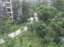 西城首峻 2室1厅 西南