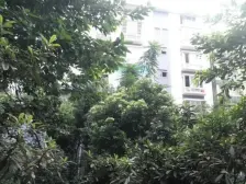 清水路苑 3室1厅 北